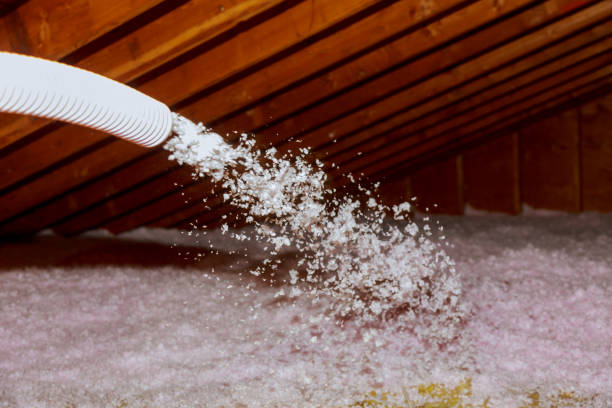 Best Wall Insulation Contractor  in Morgans Point Resort, TX
