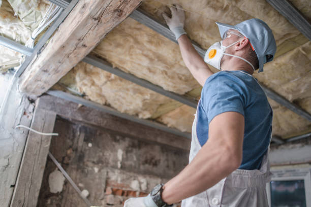 Best Professional Insulation Contractor  in Morgans Point Resort, TX